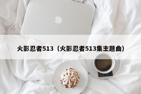 火影忍者513（火影忍者513集主题曲）