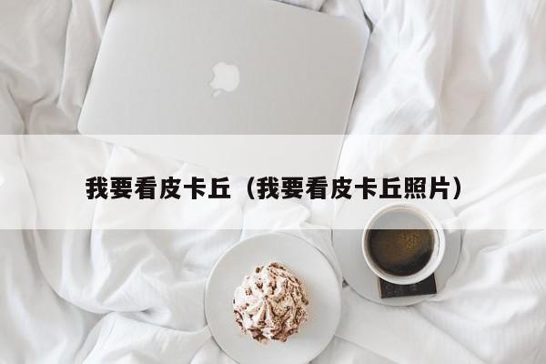 我要看皮卡丘（我要看皮卡丘照片）