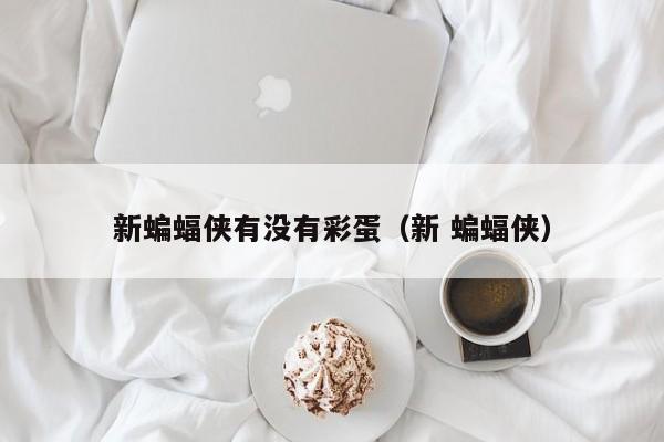 新蝙蝠侠有没有彩蛋（新 蝙蝠侠）