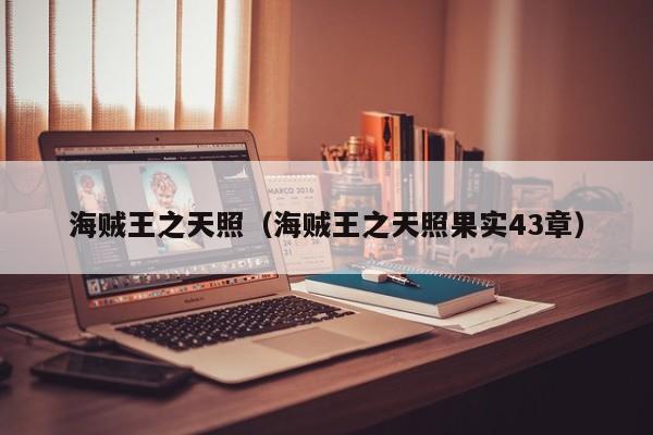 海贼王之天照（海贼王之天照果实43章）