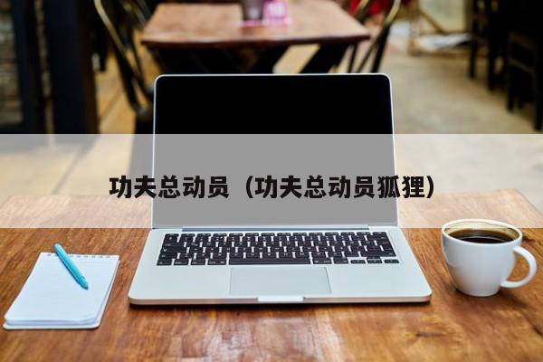 功夫总动员（功夫总动员狐狸）
