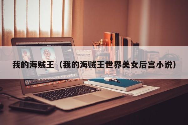 我的海贼王（我的海贼王世界美女后宫小说）