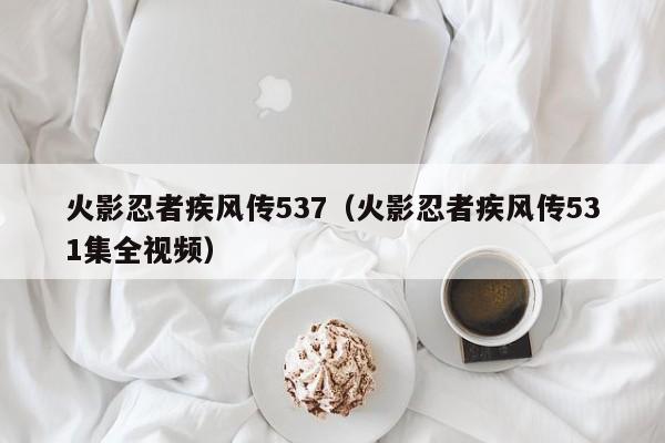 火影忍者疾风传537（火影忍者疾风传531集全视频）