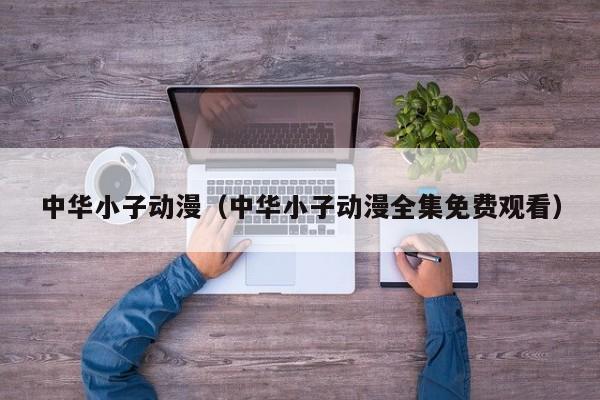 中华小子动漫（中华小子动漫全集免费观看）