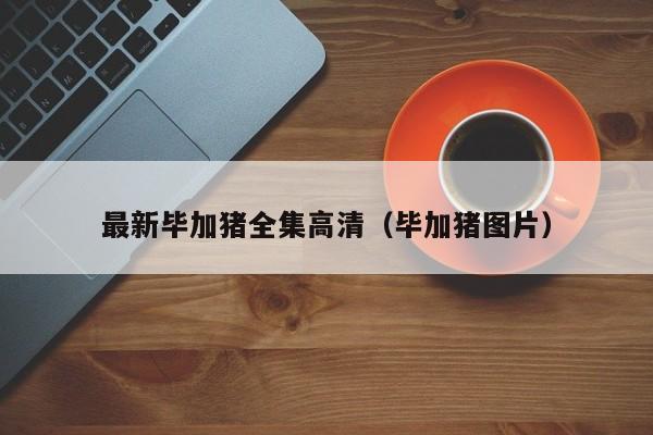 最新毕加猪全集高清（毕加猪图片）