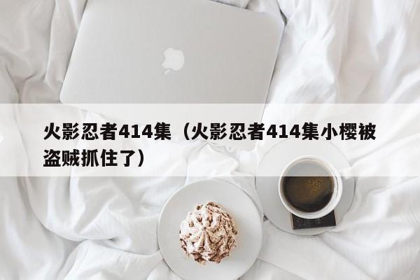 火影忍者414集（火影忍者414集小樱被盗贼抓住了）