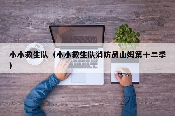 小小救生队（小小救生队消防员山姆第十二季）