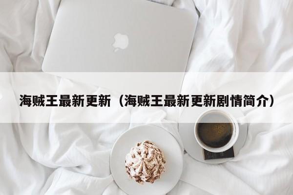 海贼王最新更新（海贼王最新更新剧情简介）