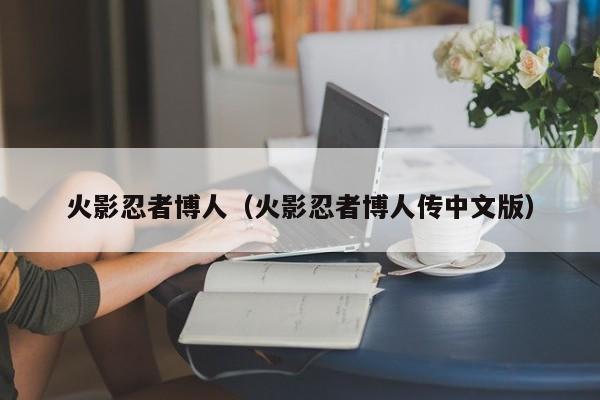 火影忍者博人（火影忍者博人传中文版）