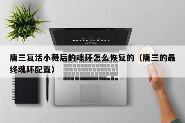 唐三复活小舞后的魂环怎么恢复的（唐三的最终魂环配置）