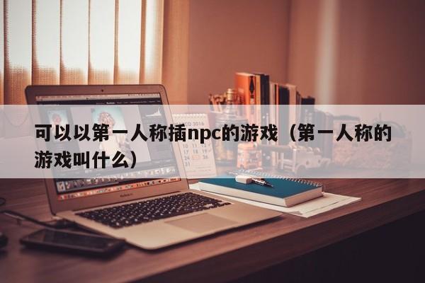 可以以第一人称插npc的游戏（第一人称的游戏叫什么）