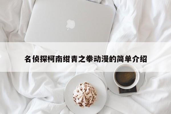 名侦探柯南绀青之拳动漫的简单介绍
