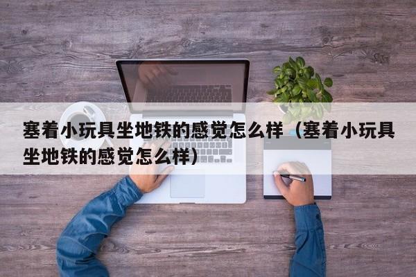 塞着小玩具坐地铁的感觉怎么样（塞着小玩具坐地铁的感觉怎么样）