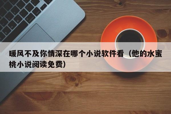 暖风不及你情深在哪个小说软件看（他的水蜜桃小说阅读免费）