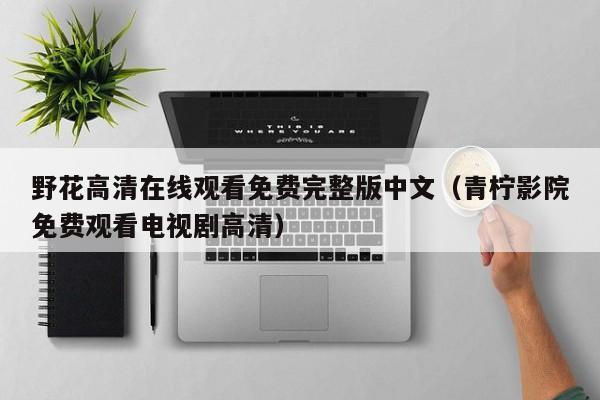 野花高清在线观看免费完整版中文（青柠影院免费观看电视剧高清）