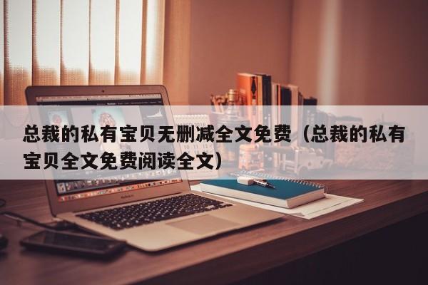 总裁的私有宝贝无删减全文免费（总裁的私有宝贝全文免费阅读全文）