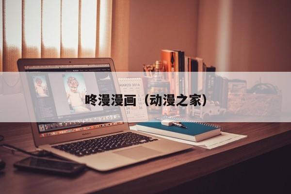 咚漫漫画（动漫之家）