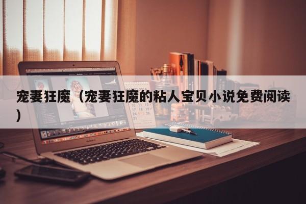 宠妻狂魔（宠妻狂魔的粘人宝贝小说免费阅读）