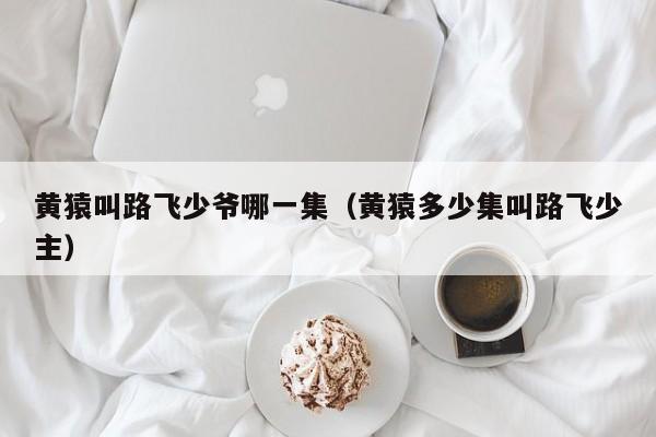 黄猿叫路飞少爷哪一集（黄猿多少集叫路飞少主）