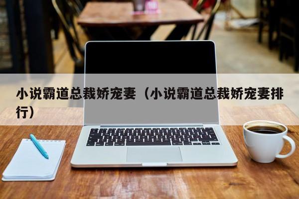 小说霸道总裁娇宠妻（小说霸道总裁娇宠妻排行）