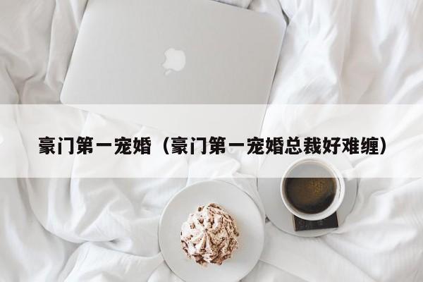 豪门第一宠婚（豪门第一宠婚总裁好难缠）