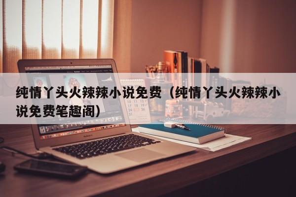 纯情丫头火辣辣小说免费（纯情丫头火辣辣小说免费笔趣阁）