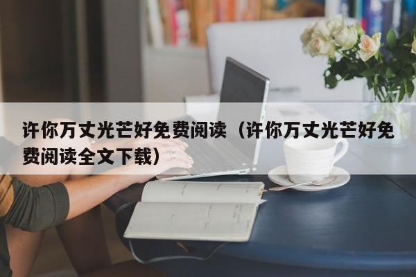 许你万丈光芒好免费阅读（许你万丈光芒好免费阅读全文下载）