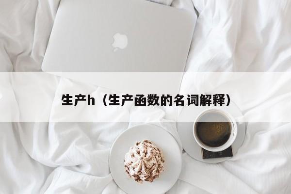 生产h（生产函数的名词解释）