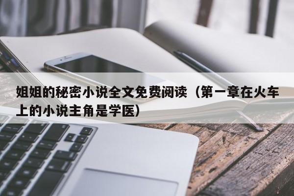 姐姐的秘密小说全文免费阅读（第一章在火车上的小说主角是学医）