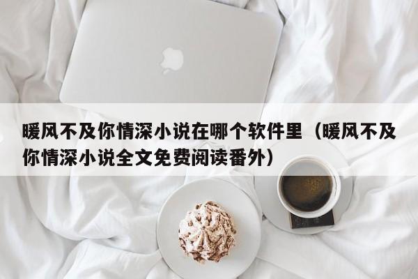 暖风不及你情深小说在哪个软件里（暖风不及你情深小说全文免费阅读番外）