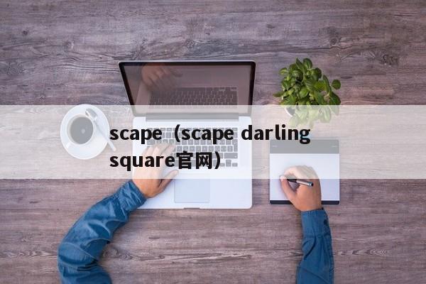 scape（scape darling square官网）