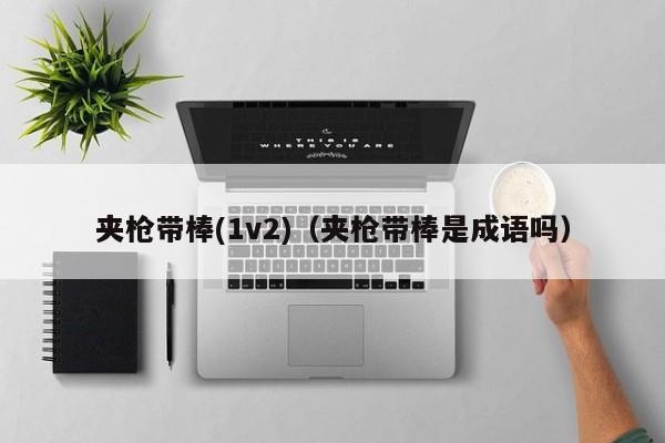 夹枪带棒(1v2)（夹枪带棒是成语吗）