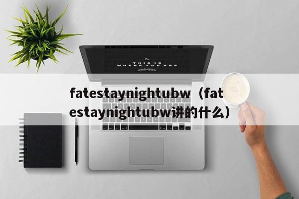 fatestaynightubw（fatestaynightubw讲的什么）