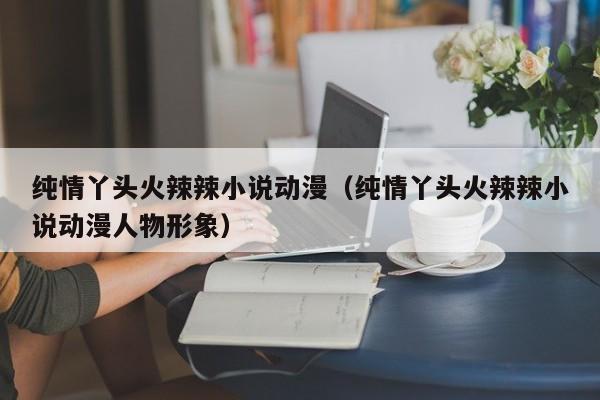 纯情丫头火辣辣小说动漫（纯情丫头火辣辣小说动漫人物形象）