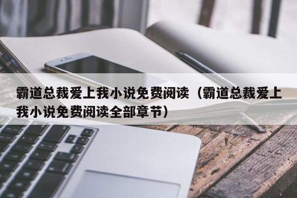 霸道总裁爱上我小说免费阅读（霸道总裁爱上我小说免费阅读全部章节）