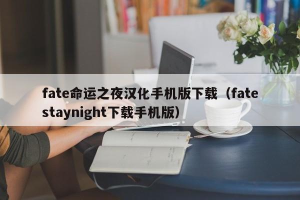 fate命运之夜汉化手机版下载（fatestaynight下载手机版）