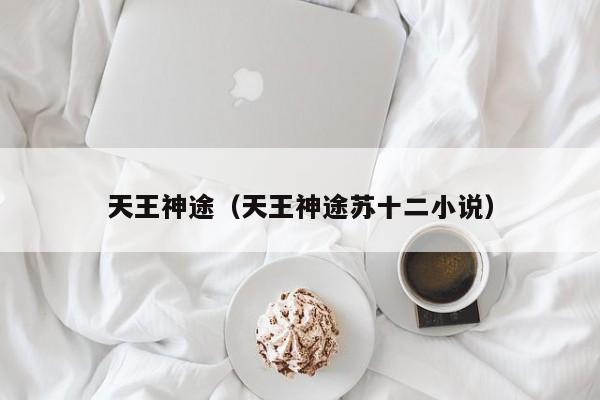 天王神途（天王神途苏十二小说）