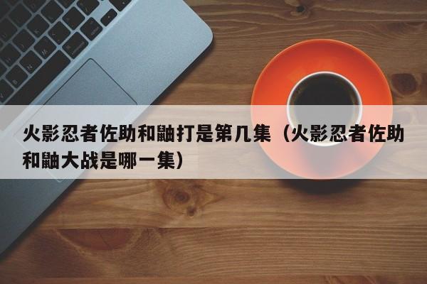 火影忍者佐助和鼬打是第几集（火影忍者佐助和鼬大战是哪一集）