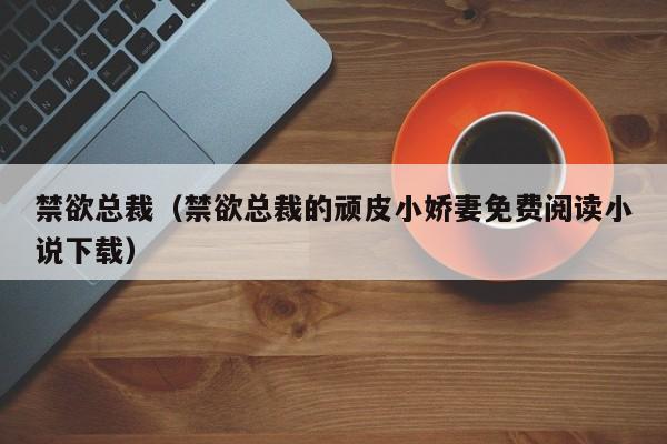 禁欲总裁（禁欲总裁的顽皮小娇妻免费阅读小说下载）
