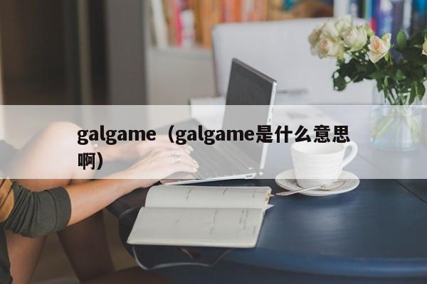 galgame（galgame是什么意思啊）