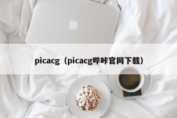 picacg（picacg哔咔官网下载）