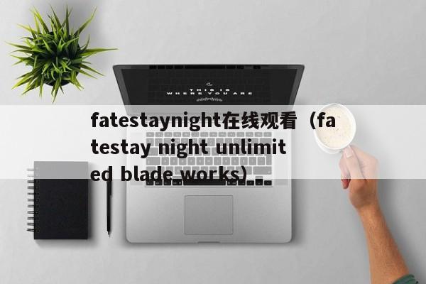 fatestaynight在线观看（fatestay night unlimited blade works）