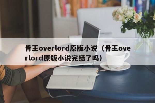 骨王overlord原版小说（骨王overlord原版小说完结了吗）
