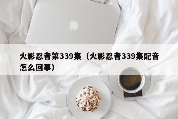 火影忍者第339集（火影忍者339集配音怎么回事）