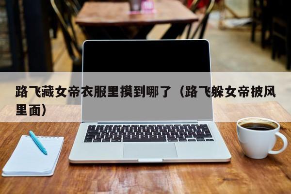 路飞藏女帝衣服里摸到哪了（路飞躲女帝披风里面）