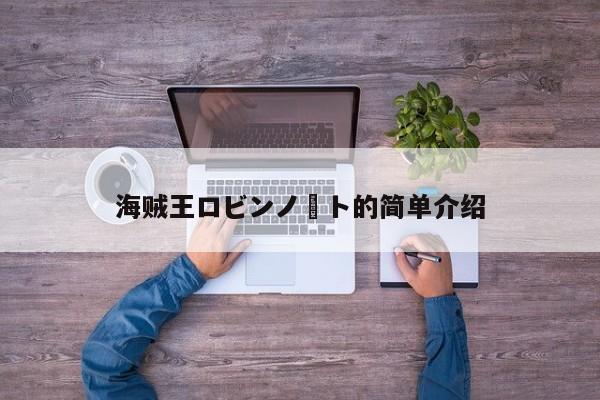 海贼王ロビンノート的简单介绍