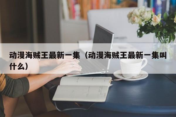 动漫海贼王最新一集（动漫海贼王最新一集叫什么）