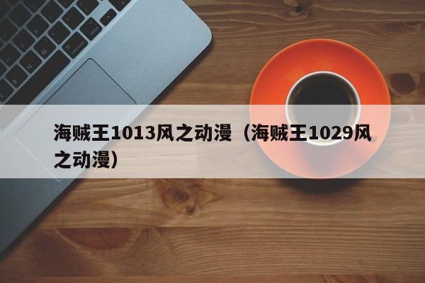 海贼王1013风之动漫（海贼王1029风之动漫）