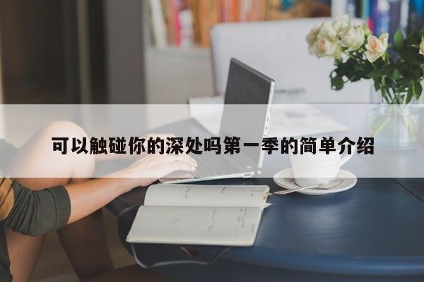 可以触碰你的深处吗第一季的简单介绍
