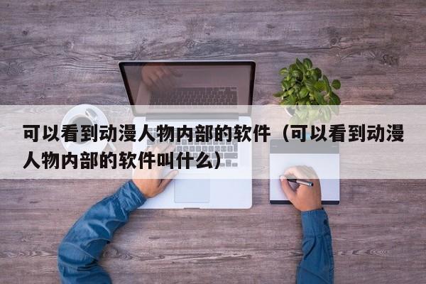 可以看到动漫人物内部的软件（可以看到动漫人物内部的软件叫什么）